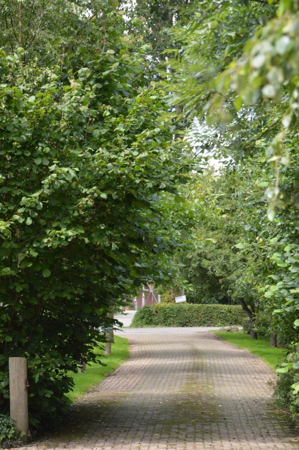 Bij Ons Op 20 Bed & Breakfast Nijeveen Bagian luar foto